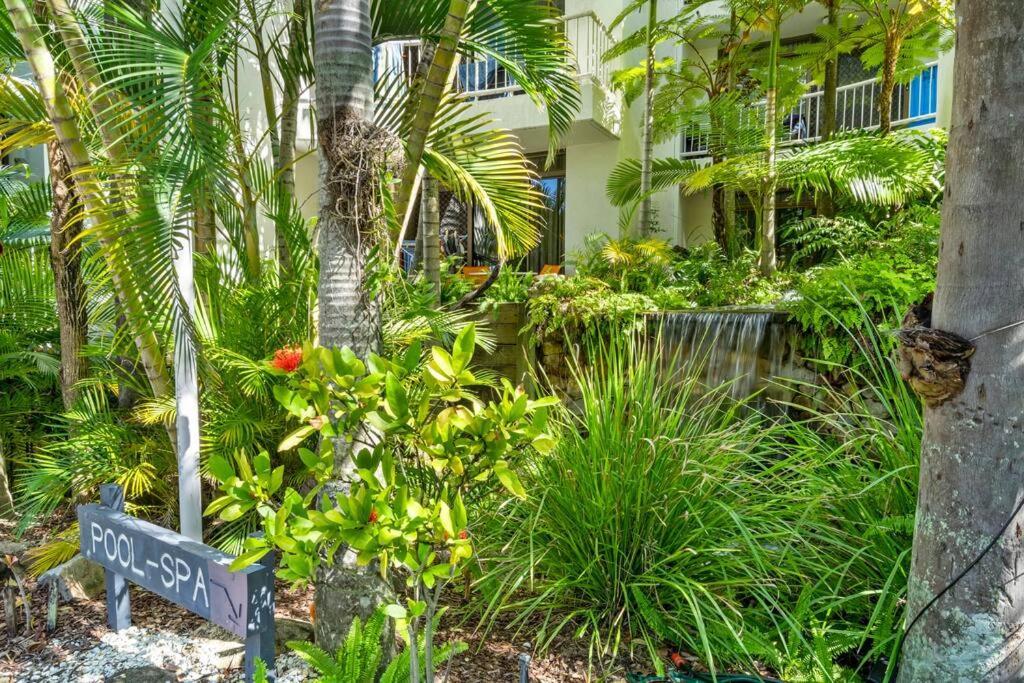 Coco Bella Dream In Surfers Paradise Gold Coast Eksteriør billede
